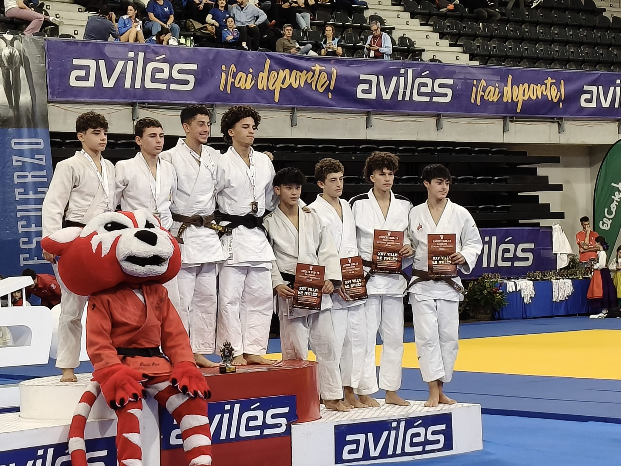 RESULTADOS SUPERCOPA DE ESPAÑA DE JUDO INFANTIL Y CADETE DE AVILES. 25-10-25